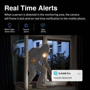 CS49LM Indoor Smoke Detection Network Camera