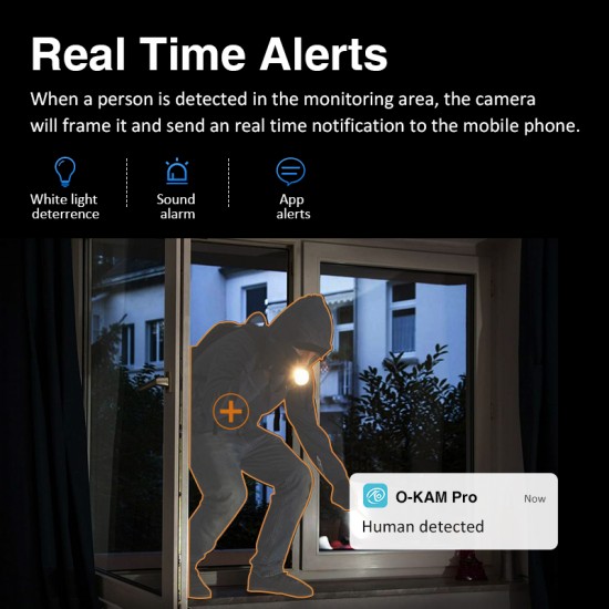 CS49LM Indoor Smoke Detection Network Camera