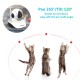 C38S-P Full 1080p HD Indoor Monitor Pets IP Camera 